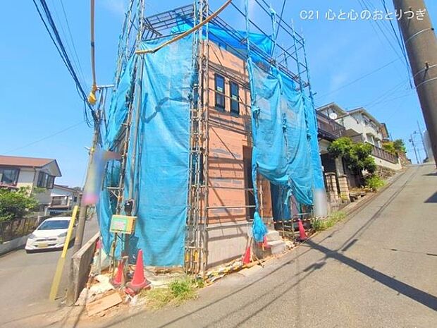 撮影日:2025/08/20