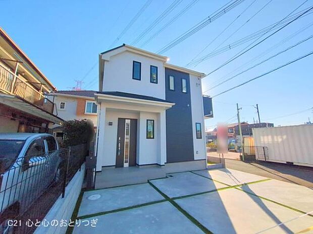 撮影日:2025/11/17