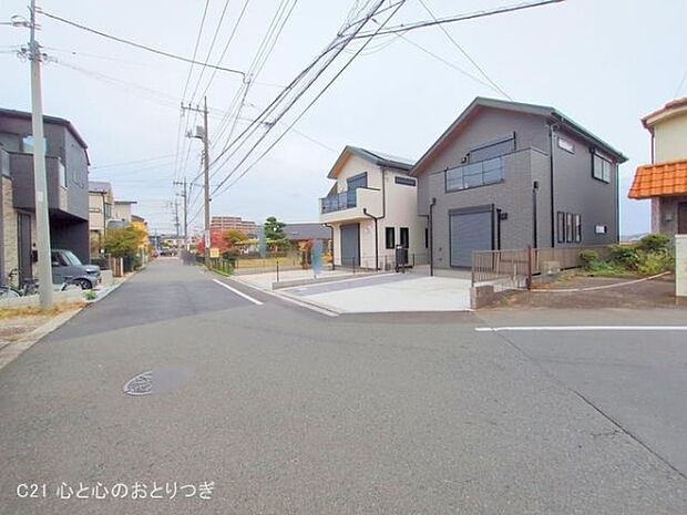 撮影日:2025/11/13