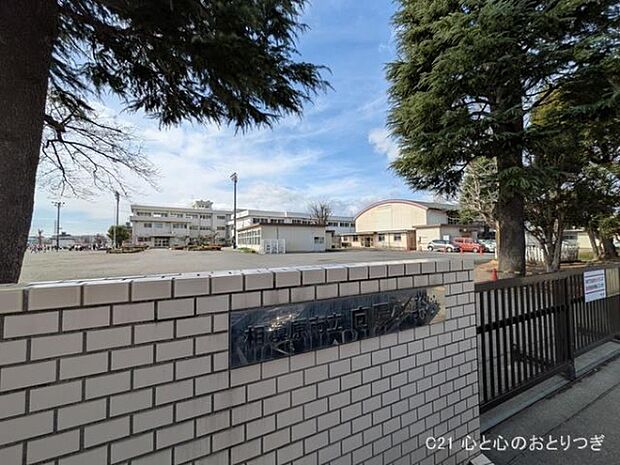 相模原市立向陽小学校まで500m