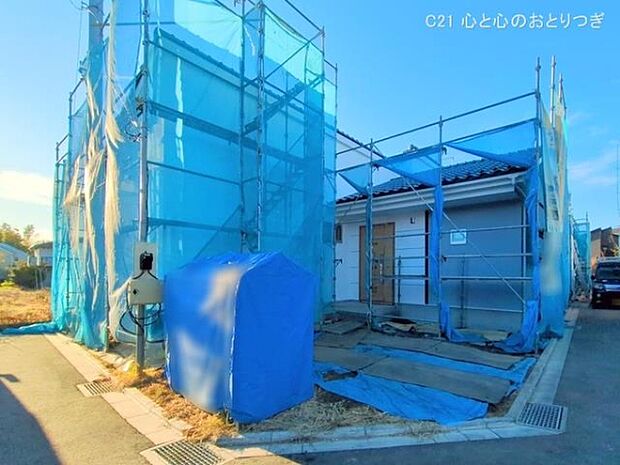 撮影日:2025/12/10