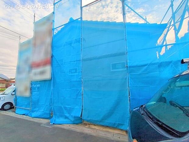 撮影日:2025/11/18