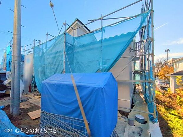 撮影日:2025/12/10