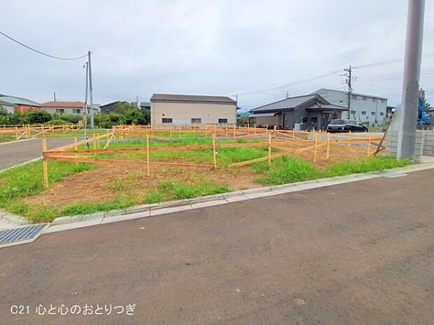 撮影日:2025/09/04