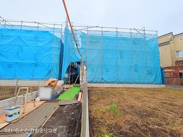 撮影日:2025/11/13