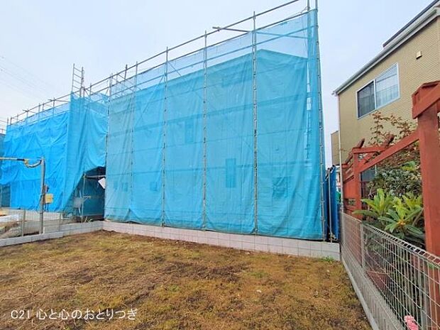 撮影日:2025/11/13