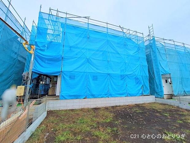 撮影日:2025/11/13