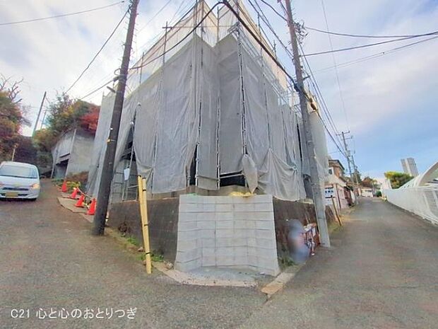 撮影日:2025/11/27