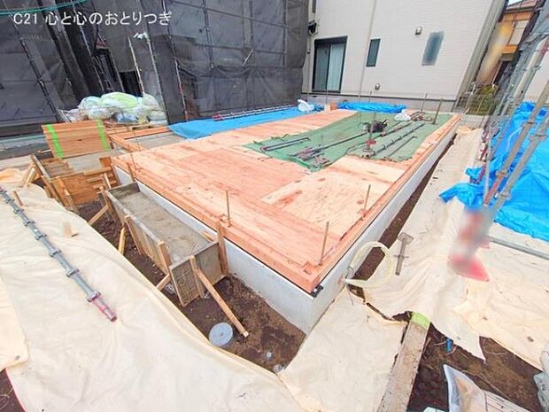 撮影日:2025/11/06