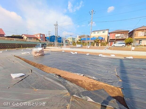 撮影日:2025/02/17