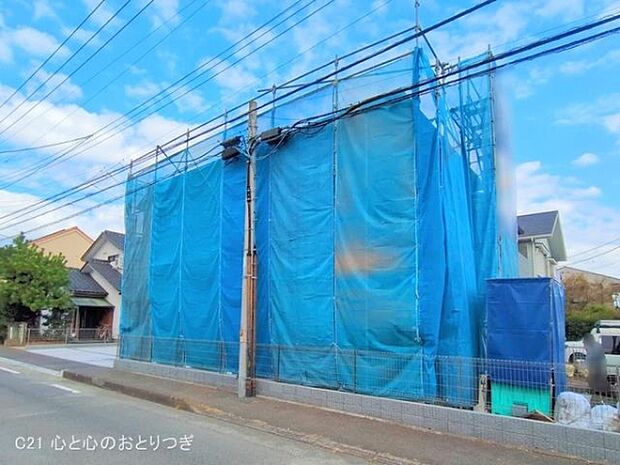 撮影日:2025/11/19