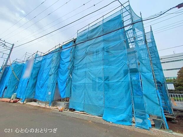 撮影日:2025/11/05