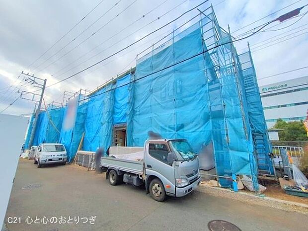 撮影日:2025/11/19