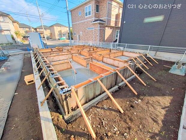 撮影日:2025/11/19