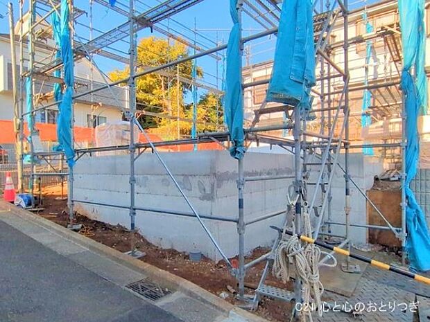 撮影日:2025/11/14