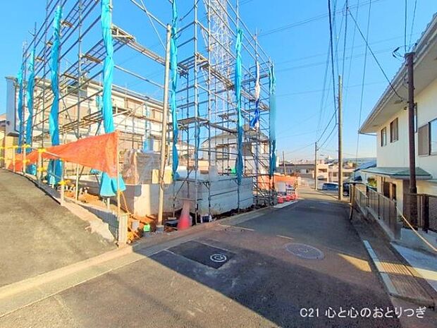 撮影日:2025/11/14