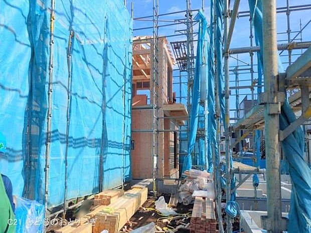 撮影日:2025/11/18