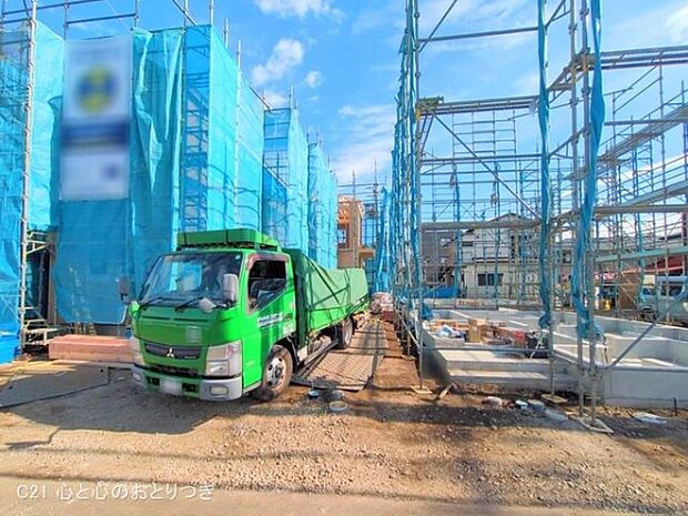 撮影日:2025/11/18