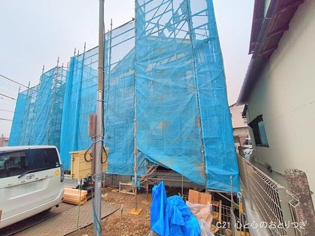 撮影日:2025/12/03