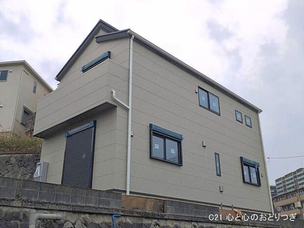 撮影日:2026/03/25