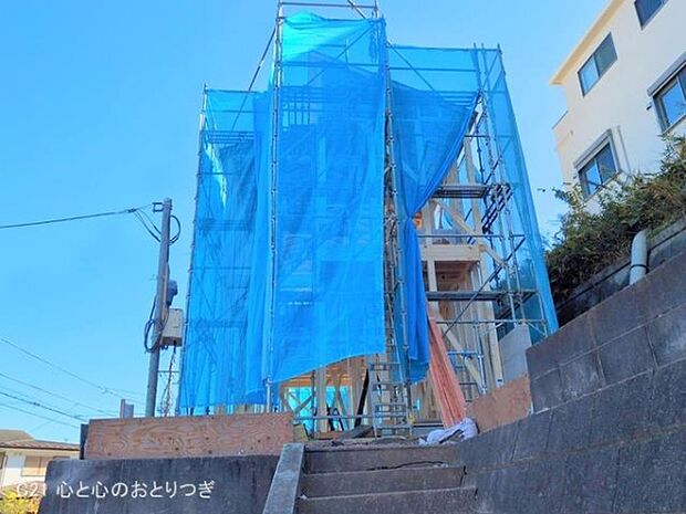 撮影日:2025/12/04