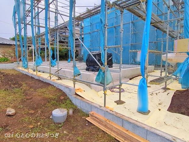 撮影日:2025/11/06