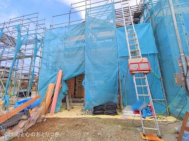 撮影日:2025/11/06