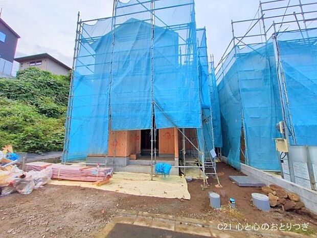 撮影日:2025/11/06