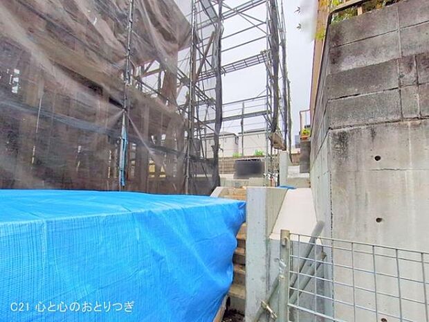 撮影日:2025/11/13