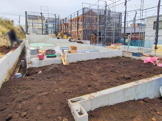 撮影日:2025/11/13