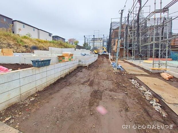 撮影日:2025/11/13