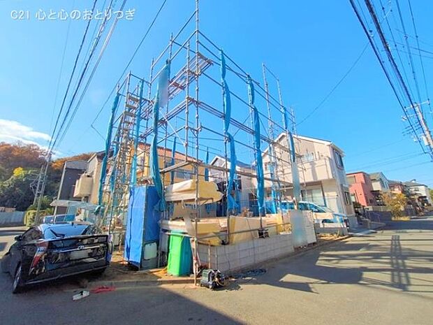 撮影日:2025/11/20