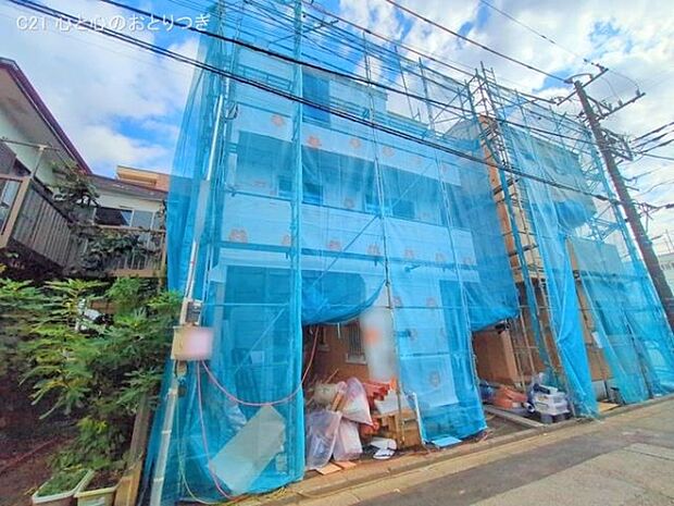 撮影日:2025/11/19