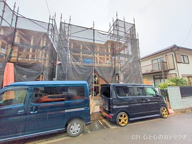 撮影日:2025/11/25