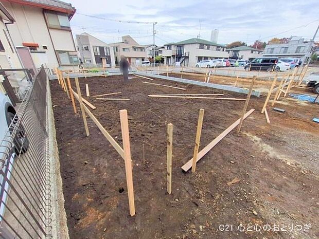 撮影日:2025/11/13