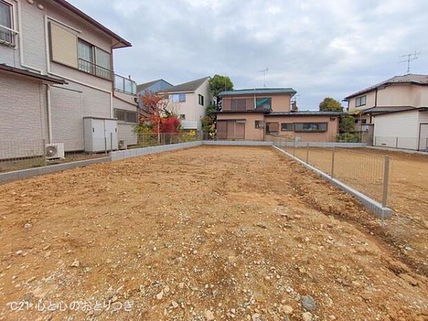 撮影日:2025/11/27