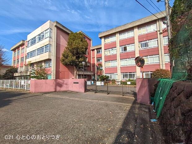 藤沢市立高倉中学校まで1100m