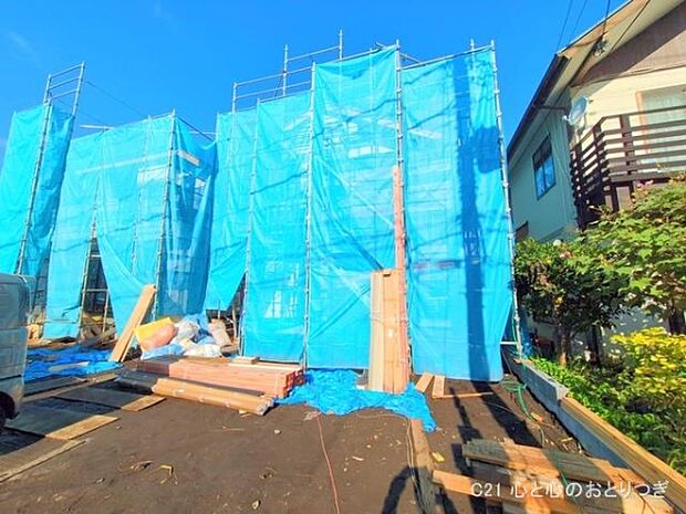 撮影日:2025/11/10