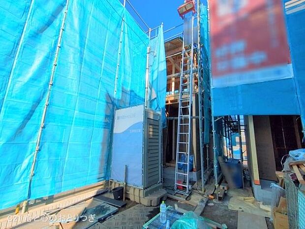 撮影日:2025/12/10