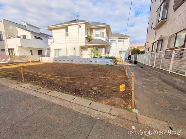 撮影日:2025/11/19