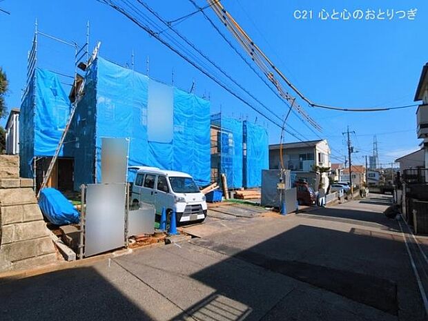 撮影日:2026/03/11