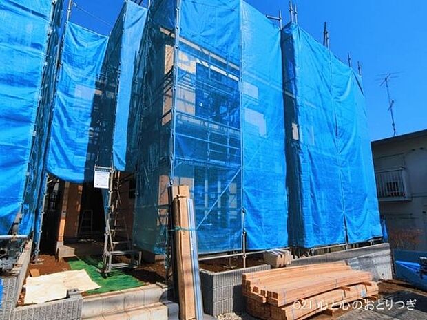 撮影日:2026/03/11