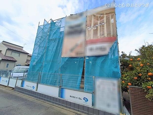 撮影日:2026/01/20