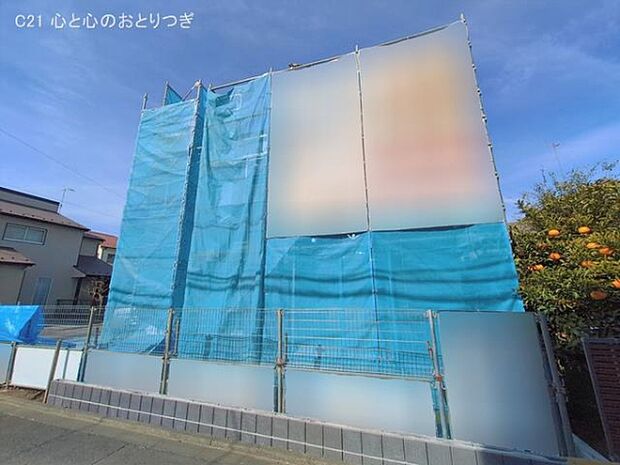 撮影日:2026/02/05