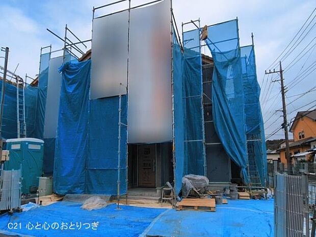 撮影日:2026/03/02