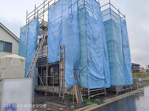 撮影日:2026/02/25