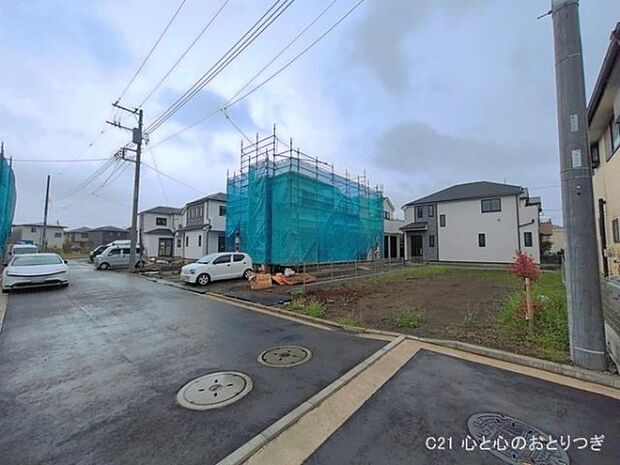 撮影日:2026/03/31