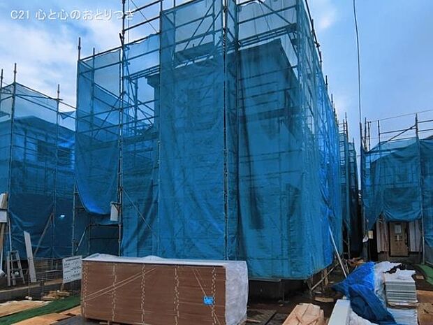 撮影日:2026/03/19