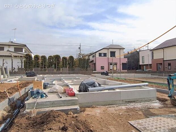 撮影日:2026/01/20