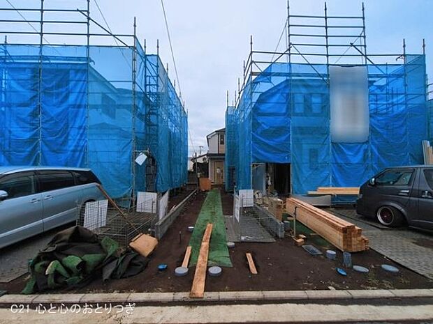 撮影日:2026/03/16